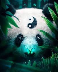 Mystic Panda