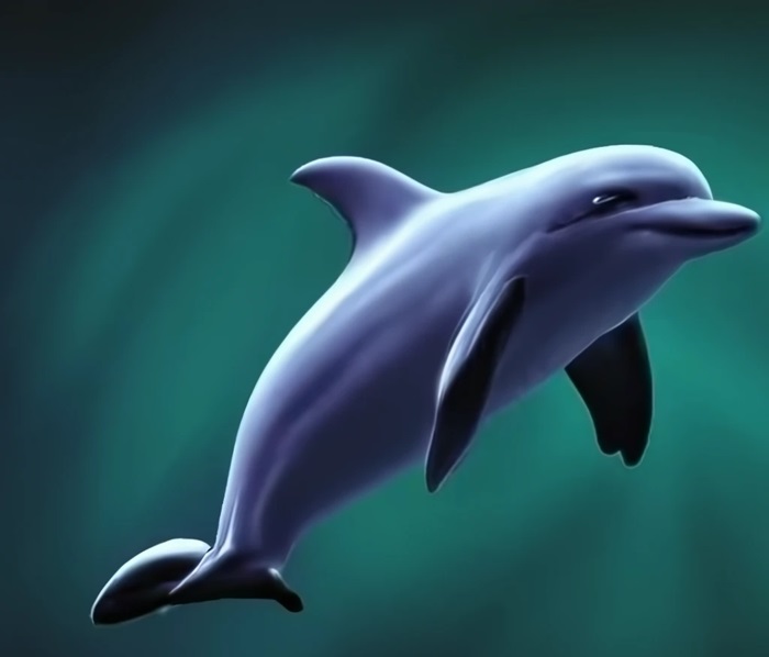 Quantum Dolphin